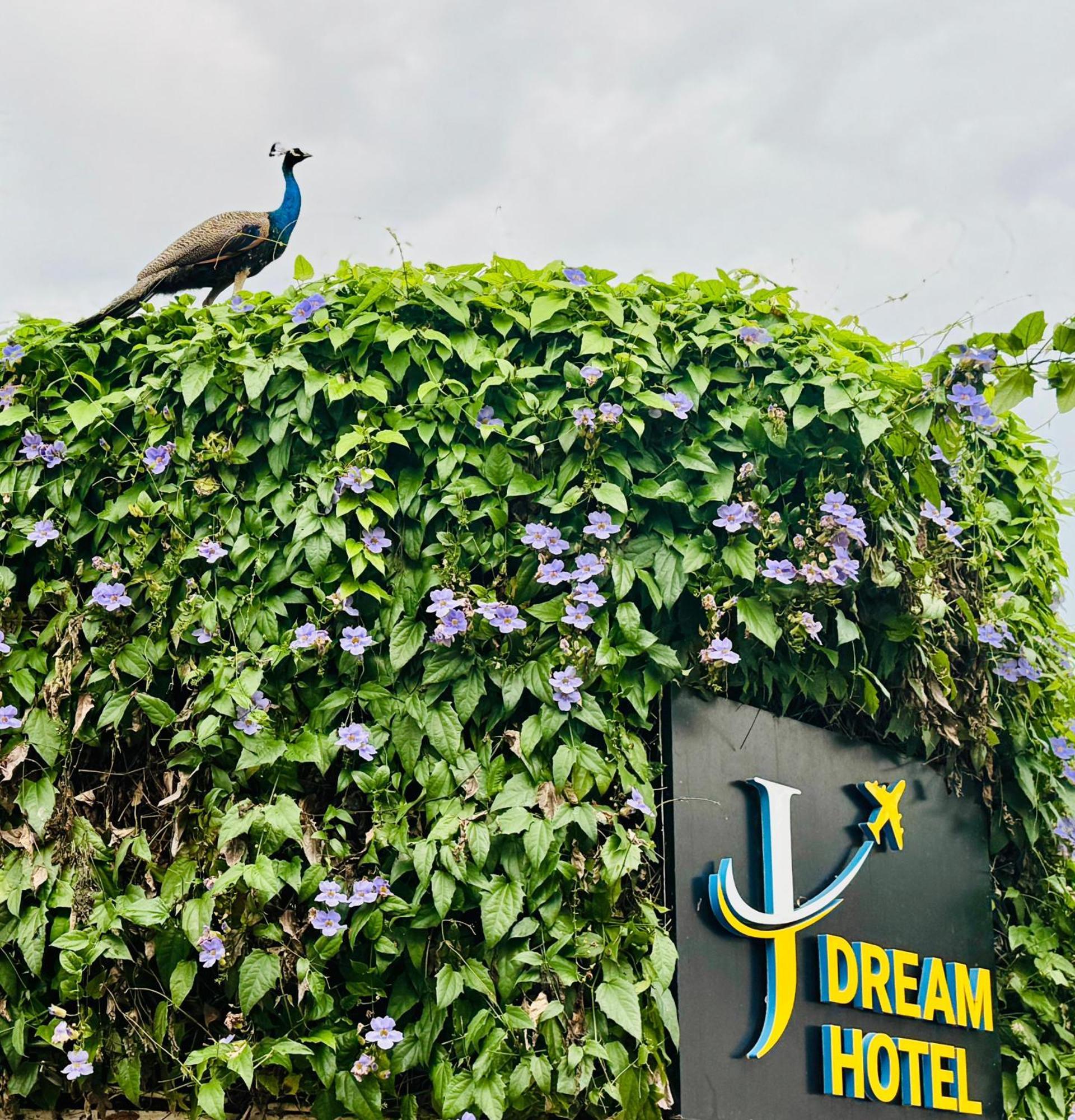 Airport J Dream Resort Dewamottawa Dış mekan fotoğraf